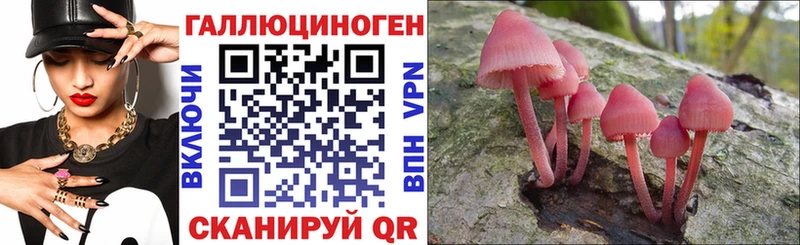 omg ТОР Улан-Удэ Псилоцибиновые грибы Cubensis