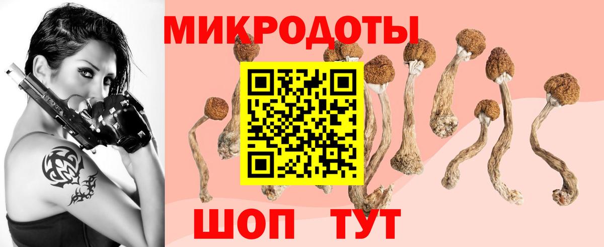 Улан-Удэ  Галлюциногенные грибы MAGIC MUSHROOMS  продажа наркотиков  Вход с VPN  Галлюциногенные грибы мухоморы 
